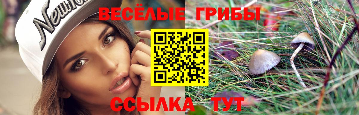 Галлюциногенные грибы прущие грибы Ангарск